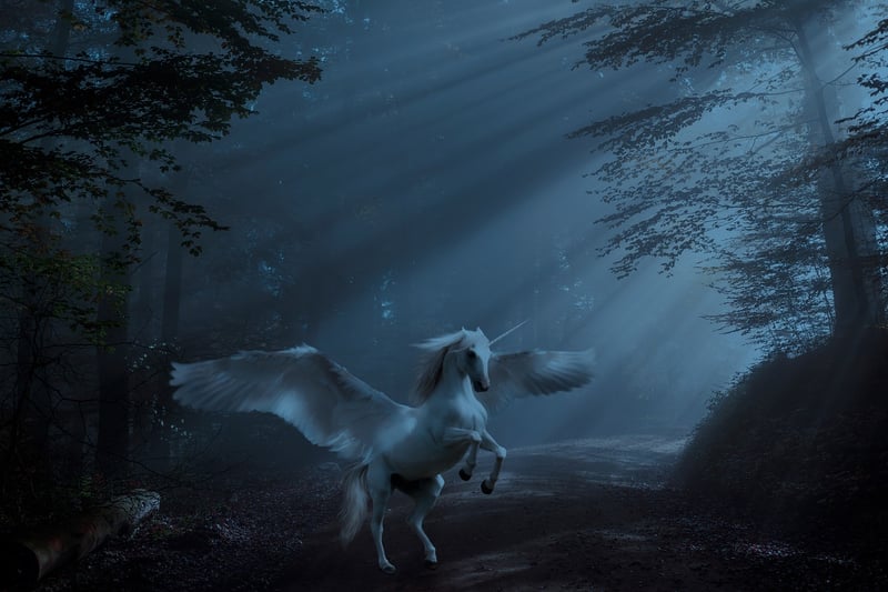 Unicorn Quests